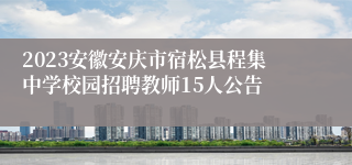 2023安徽安庆市宿松县程集中学校园招聘教师15人公告