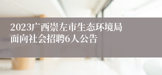 2023广西崇左市生态环境局面向社会招聘6人公告