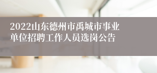 2022山东德州市禹城市事业单位招聘工作人员选岗公告
