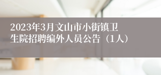 2023年3月文山市小街镇卫生院招聘编外人员公告（1人）