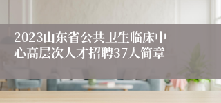 2023山东省公共卫生临床中心高层次人才招聘37人简章