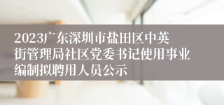 2023广东深圳市盐田区中英街管理局社区党委书记使用事业编制拟聘用人员公示