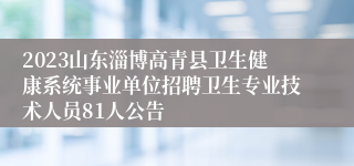 2023山东淄博高青县卫生健康系统事业单位招聘卫生专业技术人员81人公告