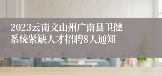 2023云南文山州广南县卫健系统紧缺人才招聘8人通知