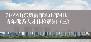 2022山东威海市乳山市引进青年优秀人才体检通知（三）