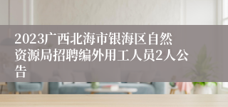 2023广西北海市银海区自然资源局招聘编外用工人员2人公告