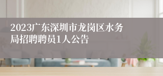 2023广东深圳市龙岗区水务局招聘聘员1人公告