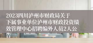 2023四川泸州市财政局关于下属事业单位泸州市财政投资绩效管理中心招聘编外人员2人公告