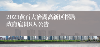 2023黄石大冶湖高新区招聘政府雇员8人公告