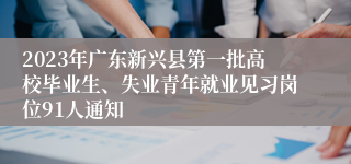 2023年广东新兴县第一批高校毕业生、失业青年就业见习岗位91人通知