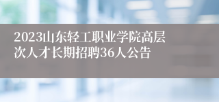 2023山东轻工职业学院高层次人才长期招聘36人公告