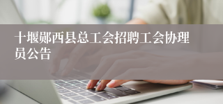 十堰郧西县总工会招聘工会协理员公告