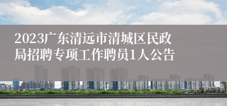 2023广东清远市清城区民政局招聘专项工作聘员1人公告