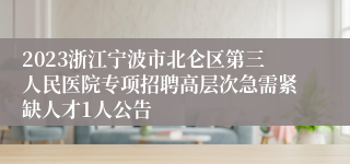 2023浙江宁波市北仑区第三人民医院专项招聘高层次急需紧缺人才1人公告