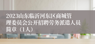 2023山东临沂河东区商城管理委员会公开招聘劳务派遣人员简章（1人）