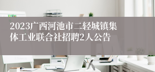 2023广西河池市二轻城镇集体工业联合社招聘2人公告