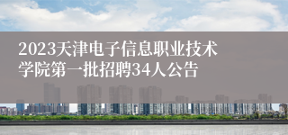 2023天津电子信息职业技术学院第一批招聘34人公告