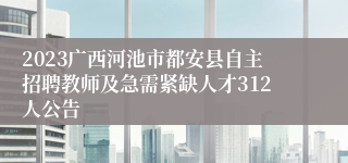 2023广西河池市都安县自主招聘教师及急需紧缺人才312人公告