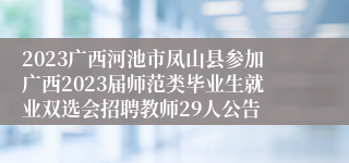 2023广西河池市凤山县参加广西2023届师范类毕业生就业双选会招聘教师29人公告