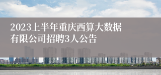 2023上半年重庆西算大数据有限公司招聘3人公告