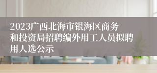 2023广西北海市银海区商务和投资局招聘编外用工人员拟聘用人选公示