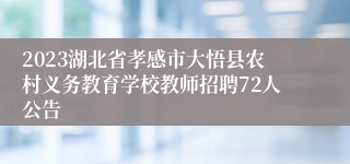 2023湖北省孝感市大悟县农村义务教育学校教师招聘72人公告