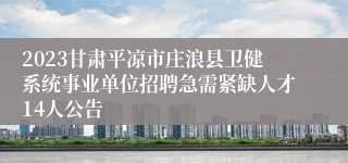 2023甘肃平凉市庄浪县卫健系统事业单位招聘急需紧缺人才14人公告