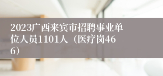 2023广西来宾市招聘事业单位人员1101人（医疗岗466）