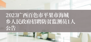 2023广西百色市平果市海城乡人民政府招聘防贫监测员1人公告