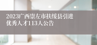 2023广西崇左市扶绥县引进优秀人才113人公告