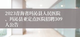 2023青海省玛沁县人民医院、玛沁县亚定点医院招聘309人公告