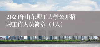 2023年山东理工大学公开招聘工作人员简章（3人）