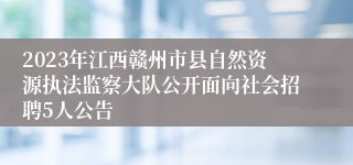 2023年江西赣州市县自然资源执法监察大队公开面向社会招聘5人公告