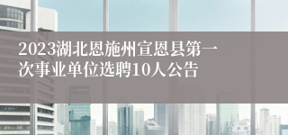 2023湖北恩施州宣恩县第一次事业单位选聘10人公告