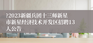 ?2023新疆兵团十三师新星市新星经济技术开发区招聘13人公告