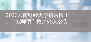 2023云南财经大学招聘博士、“双师型”教师95人公告