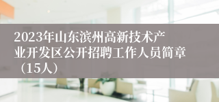 2023年山东滨州高新技术产业开发区公开招聘工作人员简章（15人）