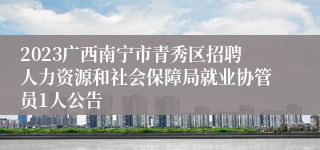 2023广西南宁市青秀区招聘人力资源和社会保障局就业协管员1人公告