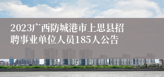 2023广西防城港市上思县招聘事业单位人员185人公告