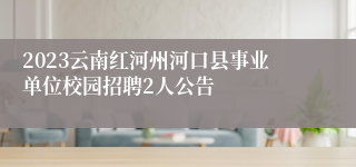 2023云南红河州河口县事业单位校园招聘2人公告