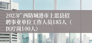 2023广西防城港市上思县招聘事业单位工作人员185人（医疗岗100人）