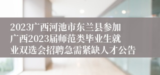 2023广西河池市东兰县参加广西2023届师范类毕业生就业双选会招聘急需紧缺人才公告