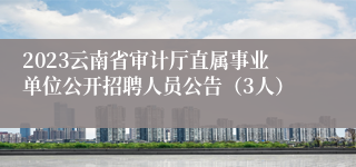 2023云南省审计厅直属事业单位公开招聘人员公告（3人）