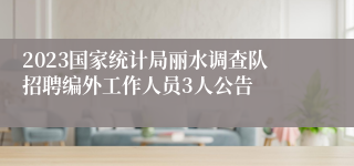 2023国家统计局丽水调查队招聘编外工作人员3人公告