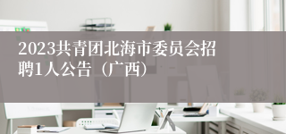 2023共青团北海市委员会招聘1人公告（广西）