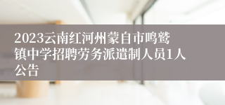 2023云南红河州蒙自市鸣鹫镇中学招聘劳务派遣制人员1人公告