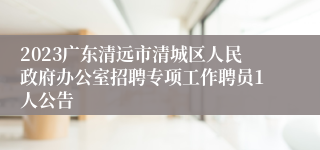 2023广东清远市清城区人民政府办公室招聘专项工作聘员1人公告