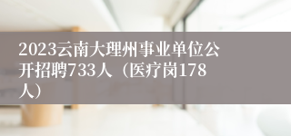 2023云南大理州事业单位公开招聘733人（医疗岗178人）