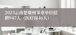 2023云南楚雄州事业单位招聘947人（医疗岗46人）