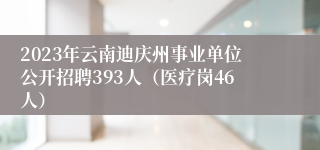 2023年云南迪庆州事业单位公开招聘393人（医疗岗46人）